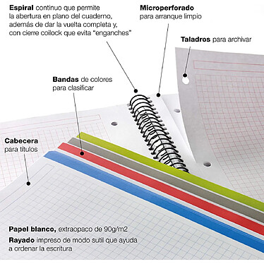 Acheter MIQUELRIUS Cahier Spirale Carton rigide A4 210 x 297mm, 4 perfo 120 f 90 g Petits Carreaux Turquoise