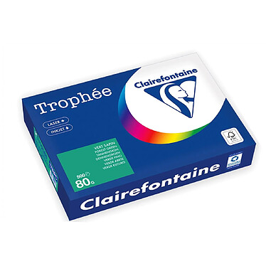 CLAIREFONTAINE Ramette Papier FSC A4 80g 500 Feuilles Vert Sapin