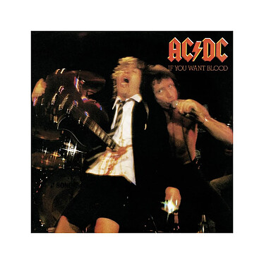 AC/DC - Puzzle Rock Saws If You Want Blood (500 pièces)