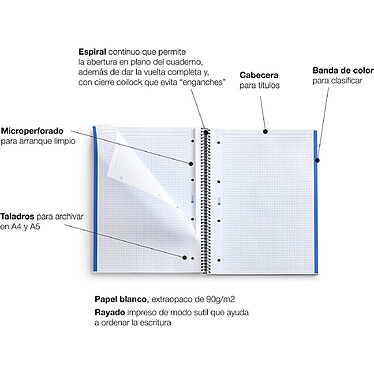 Acheter MIQUELRIUS Cahier Spirale A4 (21x29,7cm) Petits carreaux 80 p 90g Couverture Polypro bleu marine