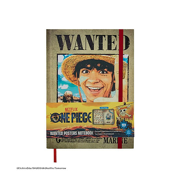 Avis One Piece - Carnet Wanted Posters