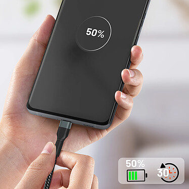 Acheter LinQ Câble USB-C vers USB-C Power Delivery 60W Charge Rapide Longueur 1,2m  Noir