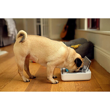 SUREFEED Distributeur Hermétique pour Chat et Petit Chien, Blanc pas cher