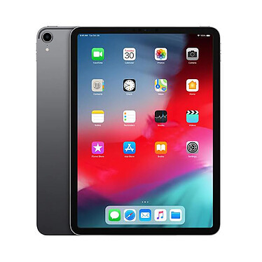 Apple iPad Pro 12,9'' (2018 - 3e gen) 256Go Gris Sidéral · Reconditionné