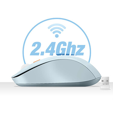 Acheter LinQ Souris Sans Fil Bluetooth ou WiFi 2.4Ghz Précision et Confort Bleu Pâle