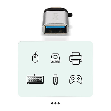 Avis LinQ Adaptateur OTG USB type C vers USB 3.0 Femelle Charge et Syncrho  Argent