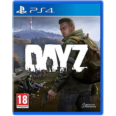 DayZ (PS4)