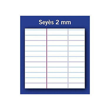 Avis CONQUÉRANT Cahier Polypro 4 en 1, 240 x 320 mm seyès 140 Pages 90g