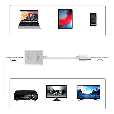 LinQ Câble USB Type C Vers HDMI 4K Femelle Adaptateur Vidéo  15 cm Argent pas cher