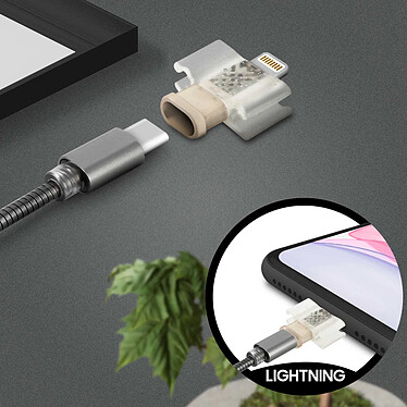 Acheter LinQ Câble USB-C et Adaptateur Lightning Charge 2A et Synchronisation  Gris