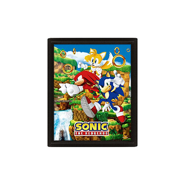 Sonic The Hedgehog - Poster effet 3D Catching Rings 26 x 20 cm