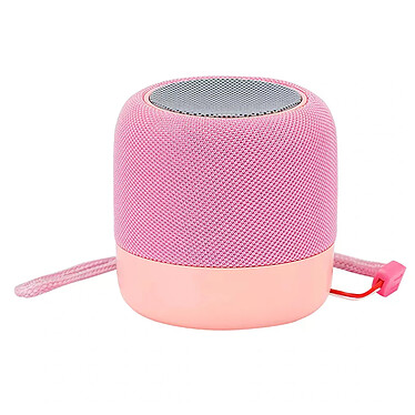 Avizar Mini Enceinte Bluetooth 5.0 Puissance Sonore 5W Radio FM Micro et Dragonne WSY01 rose