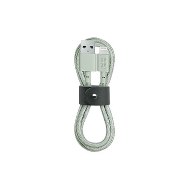 Native Union Câble Belt USB vers Lightning (1.2m) Vert