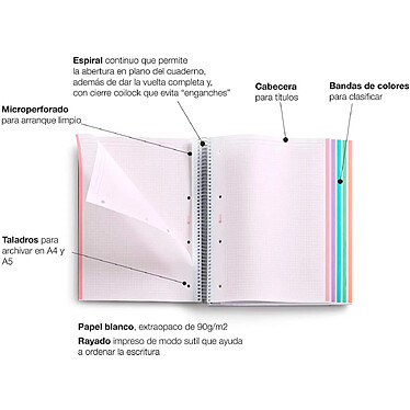 Avis MIQUELRIUS Cahier Spirale Carton rigide A4 210 x 297mm, 4 perfo 120 f 90 g Petits Carreaux Turquoise