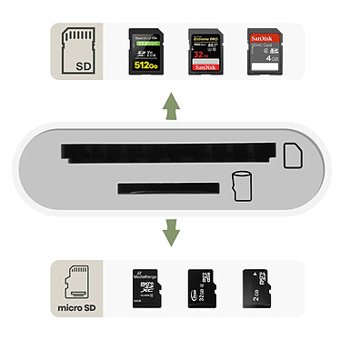 Acheter Avizar Lecteur Carte Universel  pour micro SD SD TF, Adaptateur USB-C - Blanc