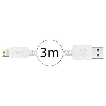 Acheter Inkax  Câble Lightning 3m Câble USB vers Lightning Charge Synchronisation 2.1A