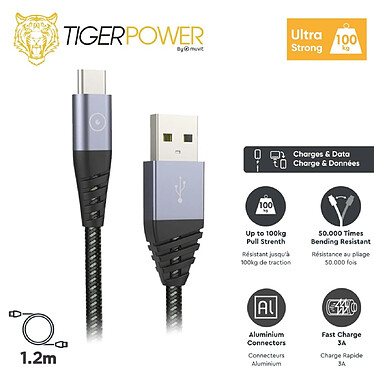 Acheter Tiger Câble USB-C vers USB Power Ultra-résistant Charge Rapide 3A 1,2m Gris