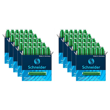 SCHNEIDER Boîte 6 Cartouches d'encre verte x 10