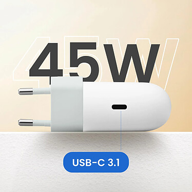 Acheter Google Chargeur Secteur USB C 45W Power Delivery 3.1 Charge Rapide Blanc