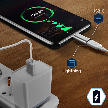 Avizar Adaptateur USB C mâle vers Lightning Femelle Charge et Synchronisation - Argenté pas cher