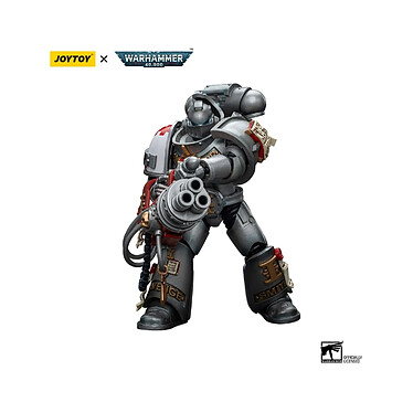 Acheter Warhammer 40k - Figurine 1/18 Grey Knights Strike Squad Grey Knight with Psilencer 12 cm