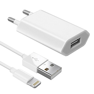 Avizar Chargeur secteur USB + câble iPod iPad Iphone - blanc