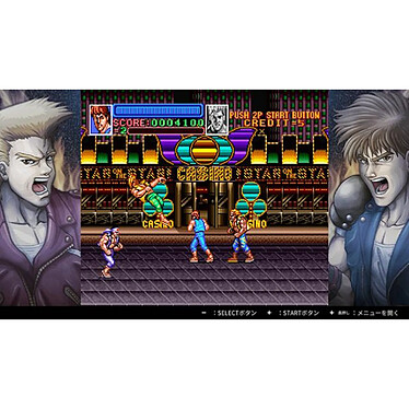 Avis Double Dragon Collection (SWITCH)