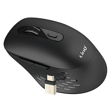 LinQ Souris Sans Fil WiFi et Bluetooth 2.4G avec Dongle USB C et USB Noir