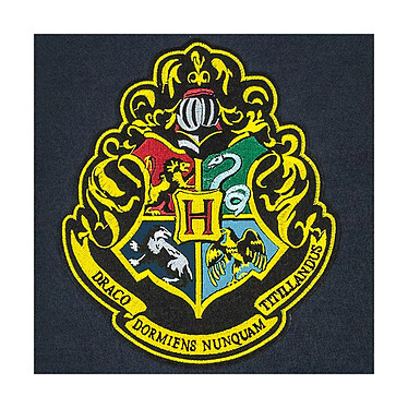 Avis Harry Potter - Bannière Hogwarts 30 x 44 cm