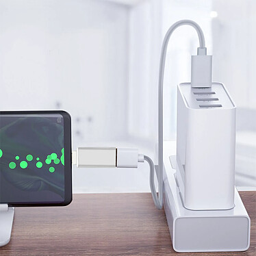 Avizar Adaptateur OTG USB Femelle vers USB-C Mâle Synchronisation Compact  Argenté pas cher