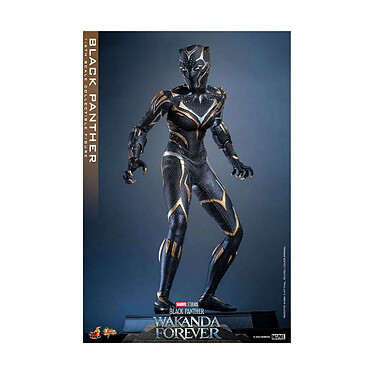 Acheter Black Panther: Wakanda Forever - Figurine Movie Masterpiece 1/6 Black Panther 28 cm