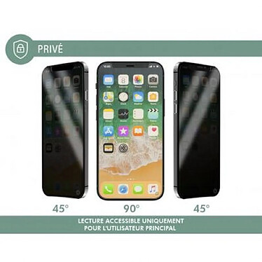 Acheter Force Glass Protection d'écran pour iPhone 13 mini en Verre Organique Plat Privé Noir transparent