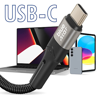 Acheter Blue Star Câble USB C / USB C Power Delivery 60W Quick Charge 4.0 Longueur 2m Noir