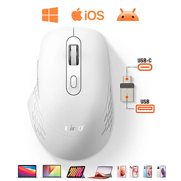 LinQ Souris Sans Fil WiFi et Bluetooth 2.4G avec Dongle USB C et USB Blanc pas cher