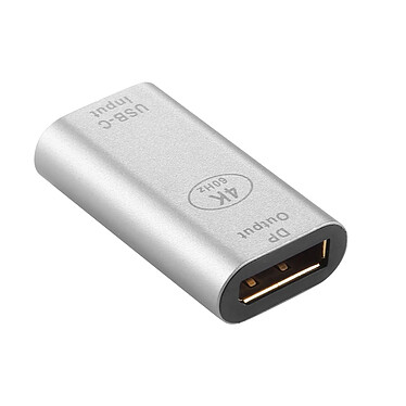 Avizar Adaptateur USB-C femelle vers DisplayPort femelle 4K Design Compact  Argent