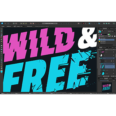 Acheter Affinity Designer v2 - Licence perpétuelle - 1 Mac - A télécharger