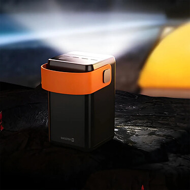 Acheter Swissten Batterie de Secours 60000mAh USB et USB C 65W Lampe Torche LED Dragonne