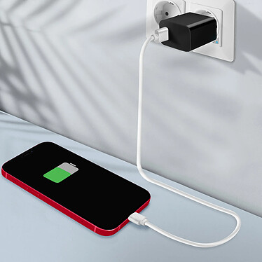 Acheter Clappio Connecteur de Charge pour iPhone 11 de Remplacement Connecteur Lightning Rouge