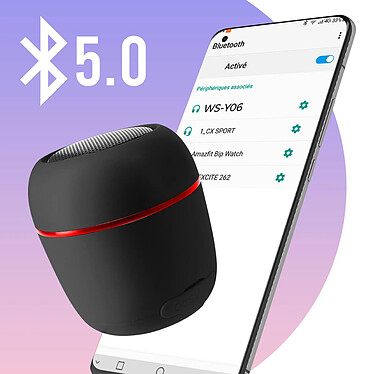 Avizar Mini Enceinte Bluetooth 5.0 Puissance Sonore 5W Radio FM Micro et Dragonne WSY06  Noir pas cher