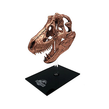 Jurassic Park - Réplique mini T-Rex Skull 10 cm