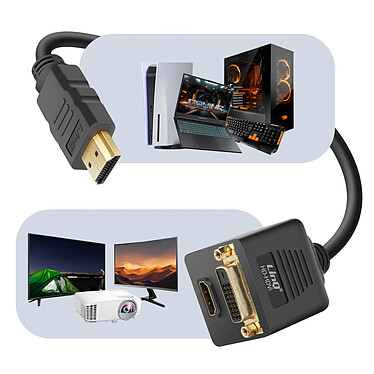 Acheter LinQ Adaptateur HDMI Mâle vers DVI-D Femelle et HDMI Femelle Compact Noir