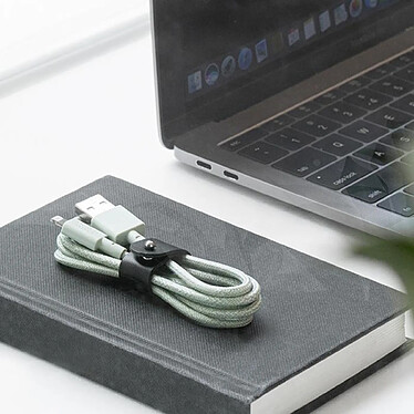 Avis Native Union Câble Belt USB vers Lightning (1.2m) Vert