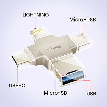 Acheter LinQ Lecteur Carte Micro-SD OTG avec Prise USB-C, Micro-USB, Lightning, USB Beige