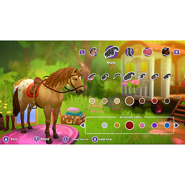 Avis Horse Club Adventures PS4