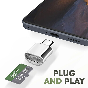 Avizar Mini Lecteur Carte micro SD et TF, Adaptateur USB-C 3.1  Argent pas cher