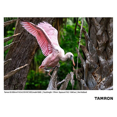 Avis TAMRON Objectif 50-300mm f/4.5-6.3 Di III VXD compatible avec SONY FE