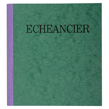 EXACOMPTA Piqûre 21x19cm échéancier tracé journal 80 pages pas cher