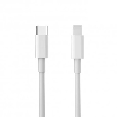 Evetane Câble blanc 2M USB C/Lightning (MFi) pour iPhone ( hormis iPhone 15 , 15 Pro, 15 Pro Max ,15 Plus)