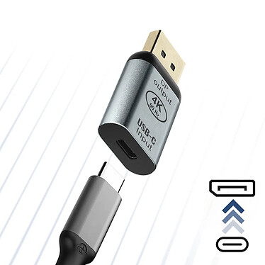 Avis Avizar Adaptateur Vidéo USB-C femelle vers DisplayPort mâle Design Compact  Gris