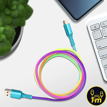 Avizar Câble USB-C Charge et Synchronisation Design Stylé 1m Robuste Multicolore pas cher